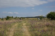 J79A4161.JPG
