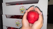 IMG_3905.jpeg