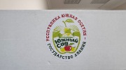 IMG_3899.jpeg