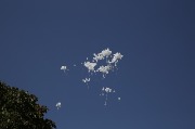 J79A9650.JPG